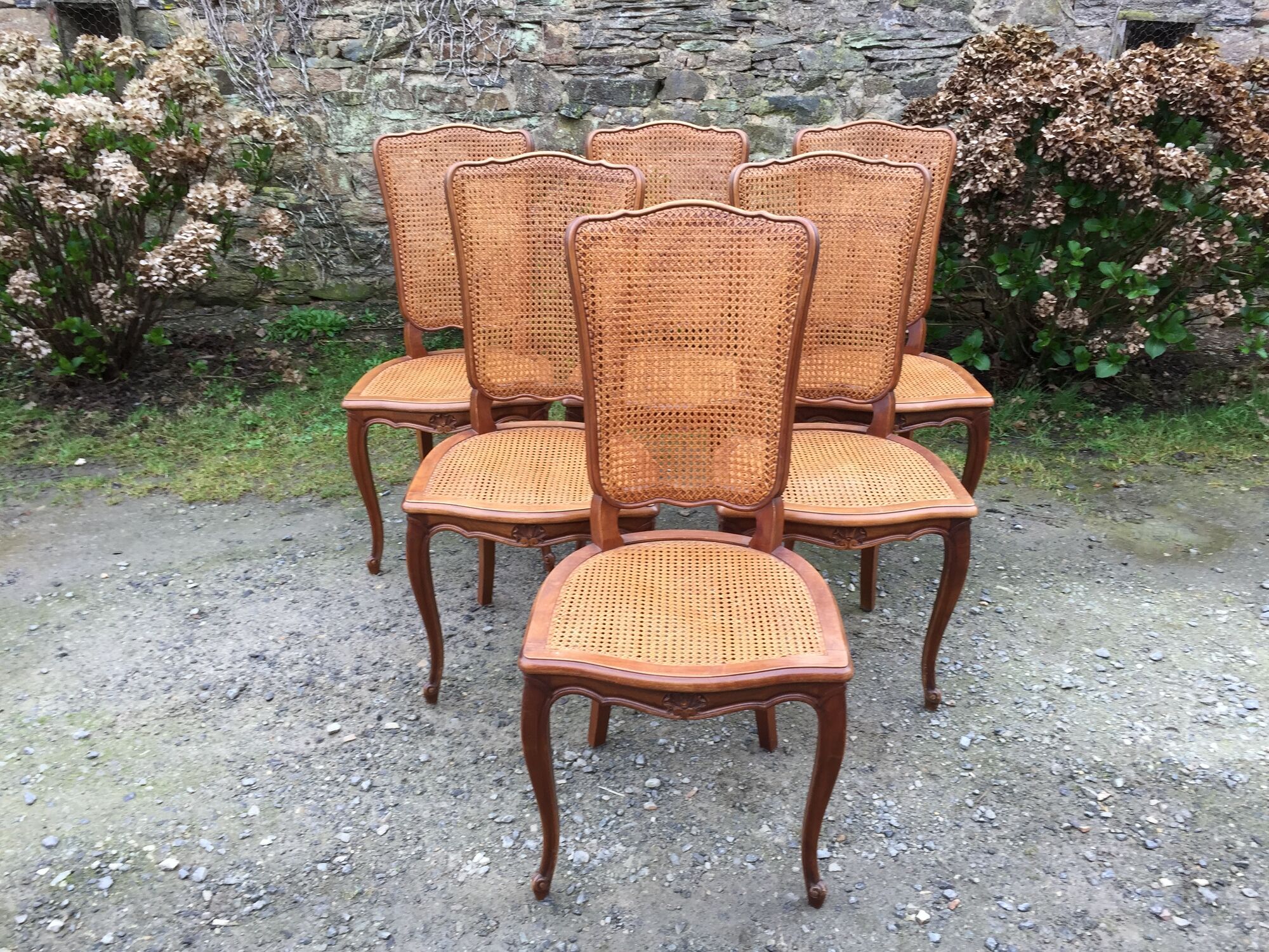 Vintage regency cherry chairs with canned backrests and seats