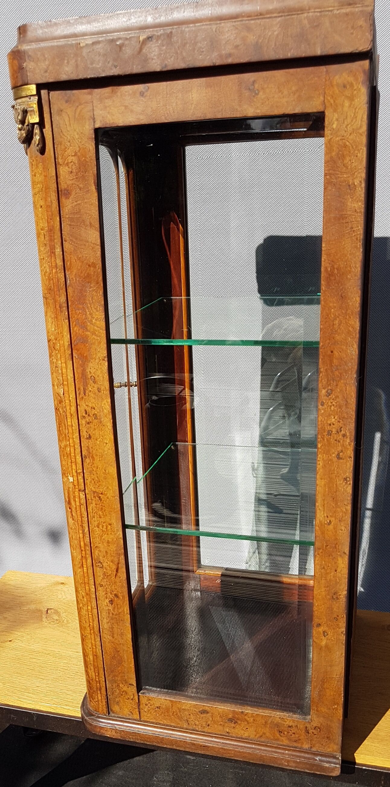 Curiosity cabinet showcase 1900