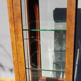 Curiosity cabinet showcase 1900