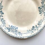 Flat plate, Terre de Fer, Debray Establishment, Guadeloupe Service