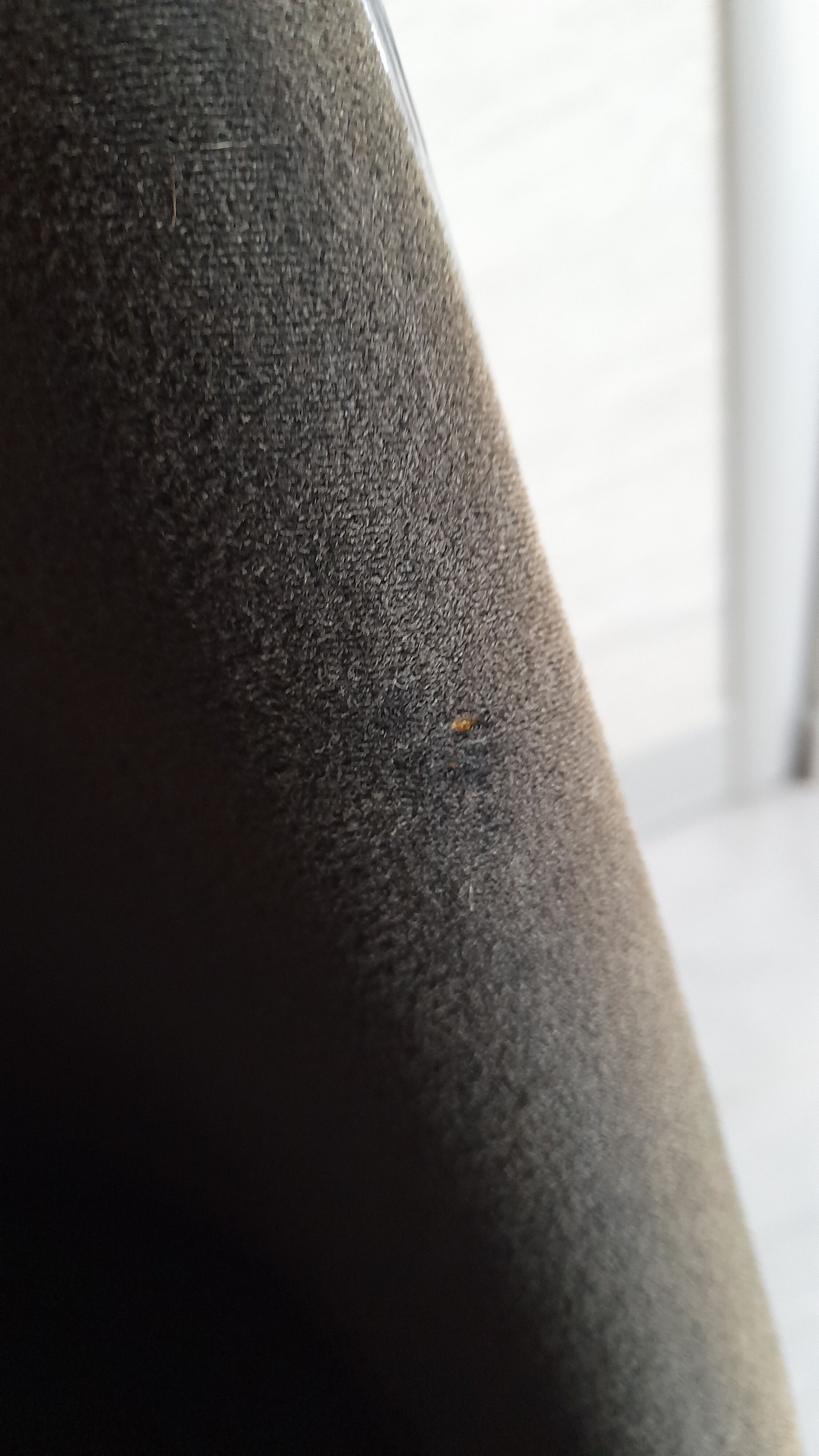 Chair L202 Roland Sweitzer 1970