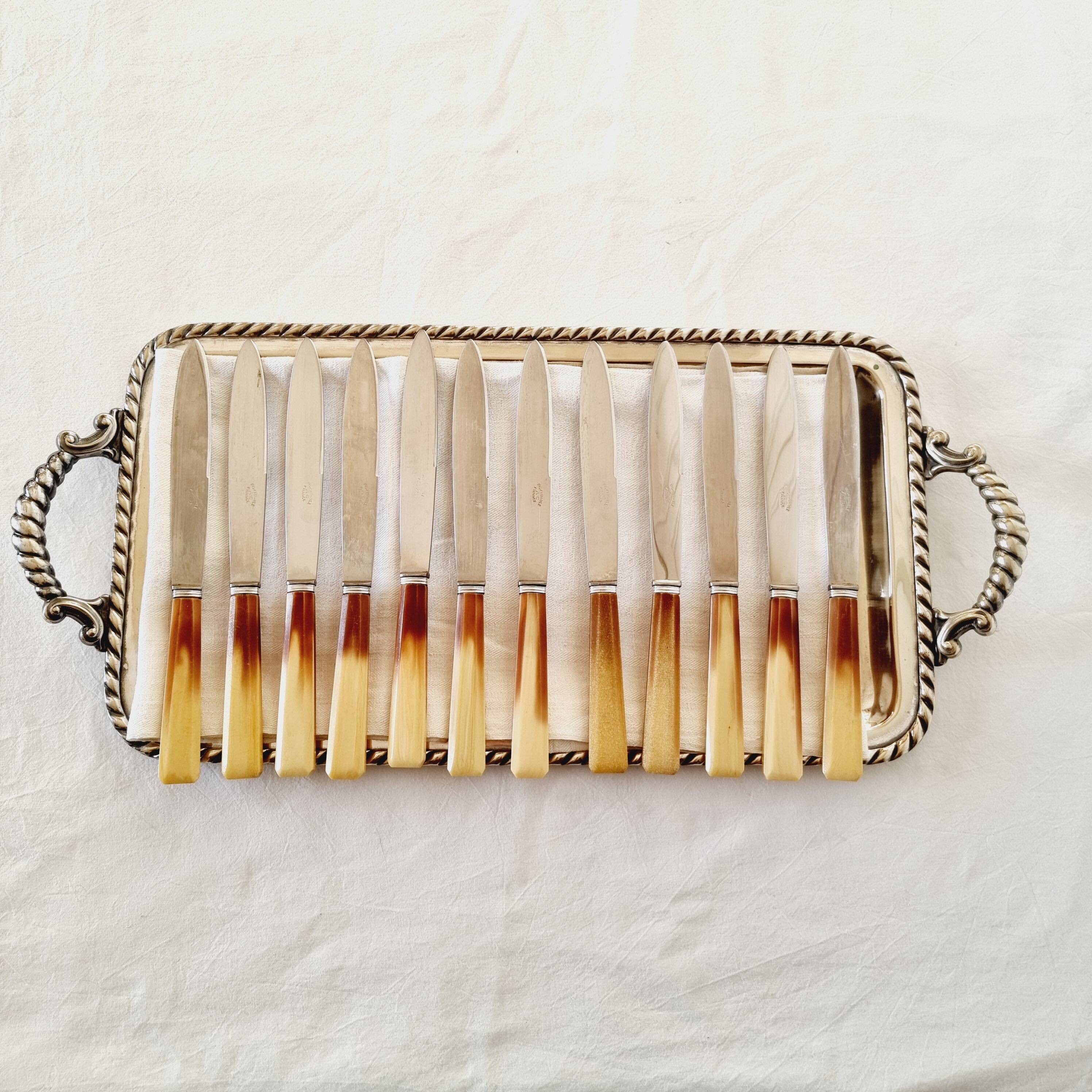 Box of 12 vintage knives in stainless steel and bakelite handle