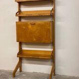 Mid-Century Wall Cabinet bookcase secretary by Cees Braakman for Pastoe