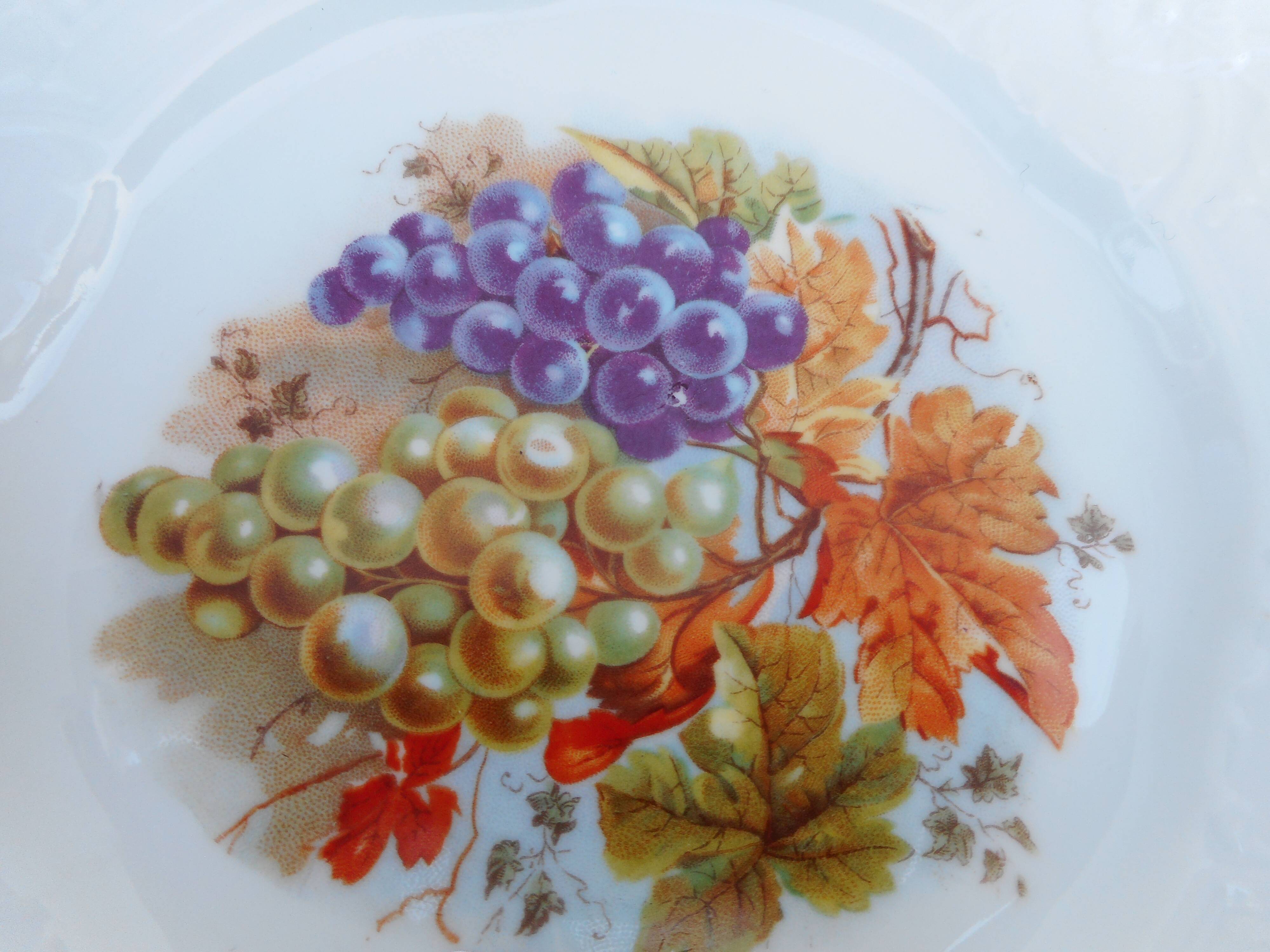 Lot of Six porcelain plates, fruit decoration