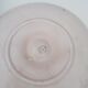 5 Salins oyster plates