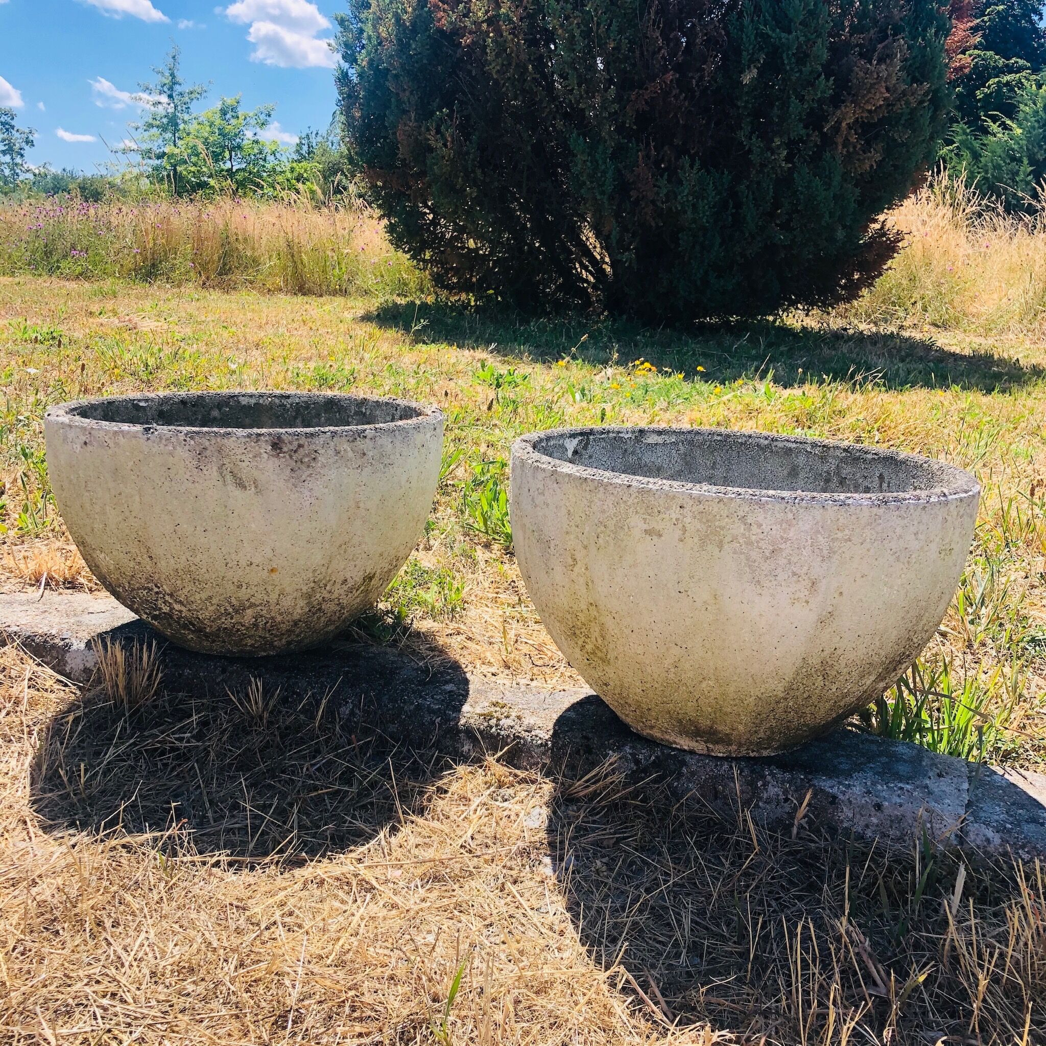 Concrete planter