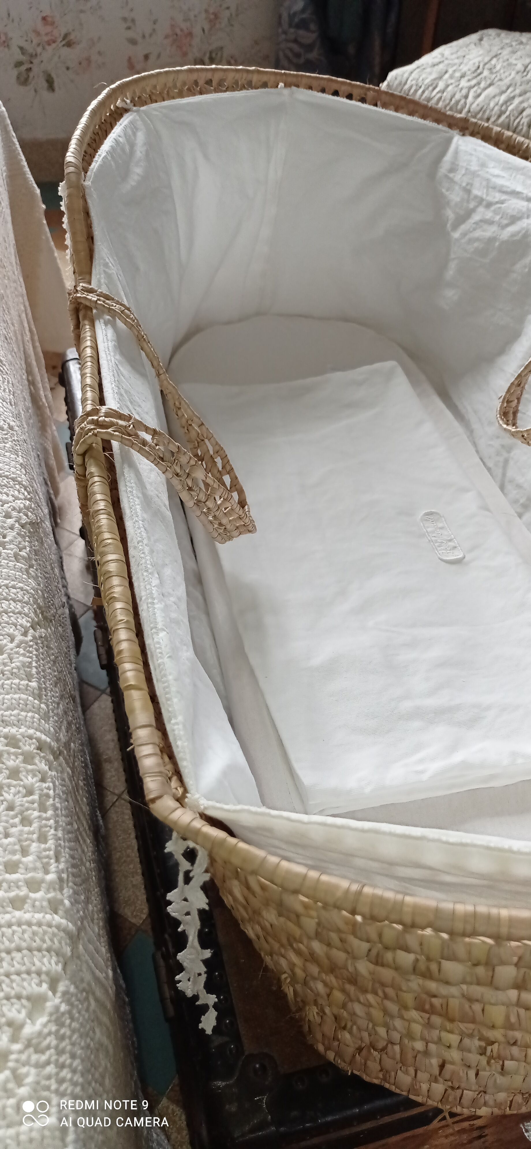 Vintage palm bassinet