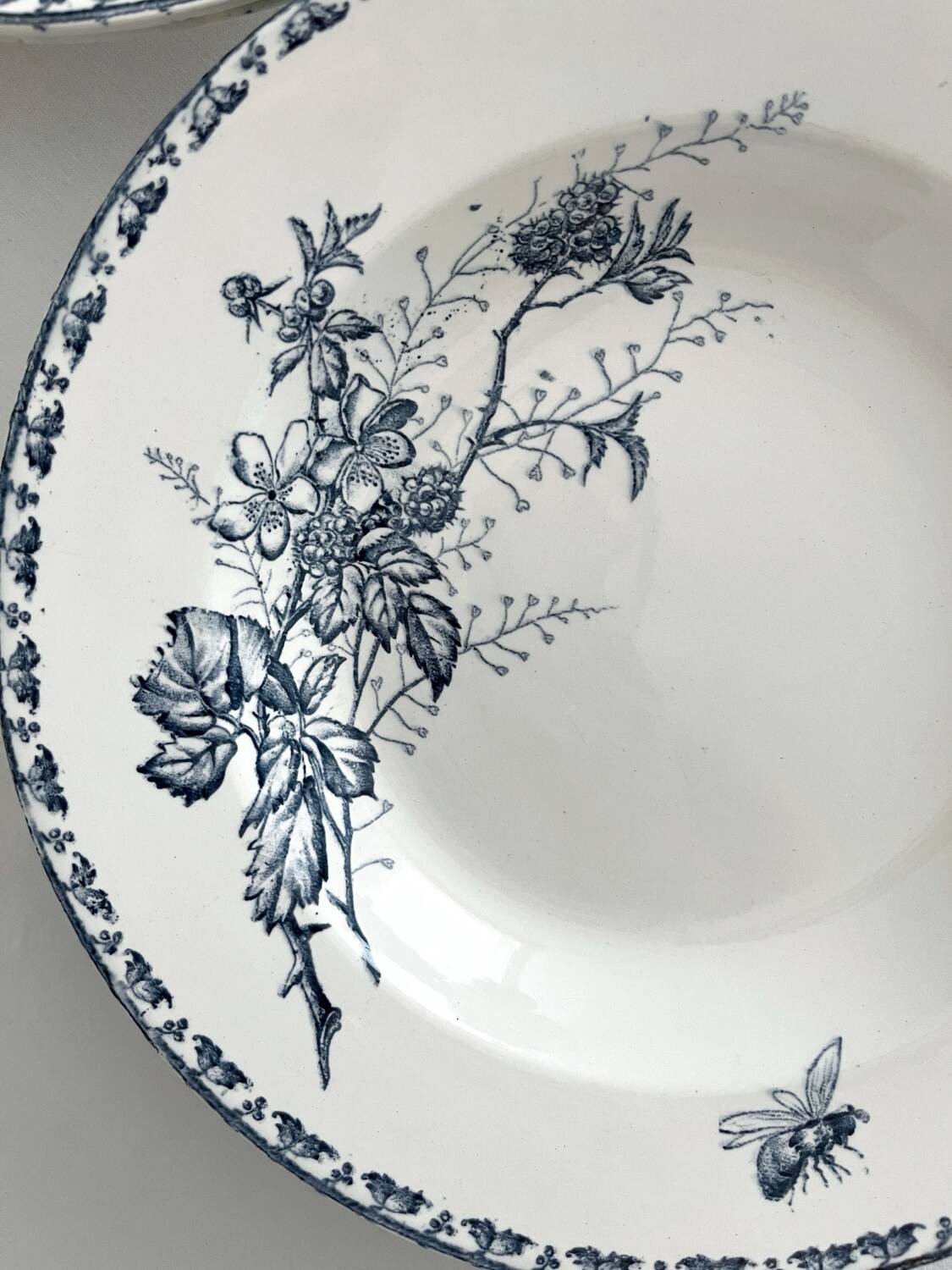 4 deep plates ironstone butterflies "Carmen" Sarreguemines