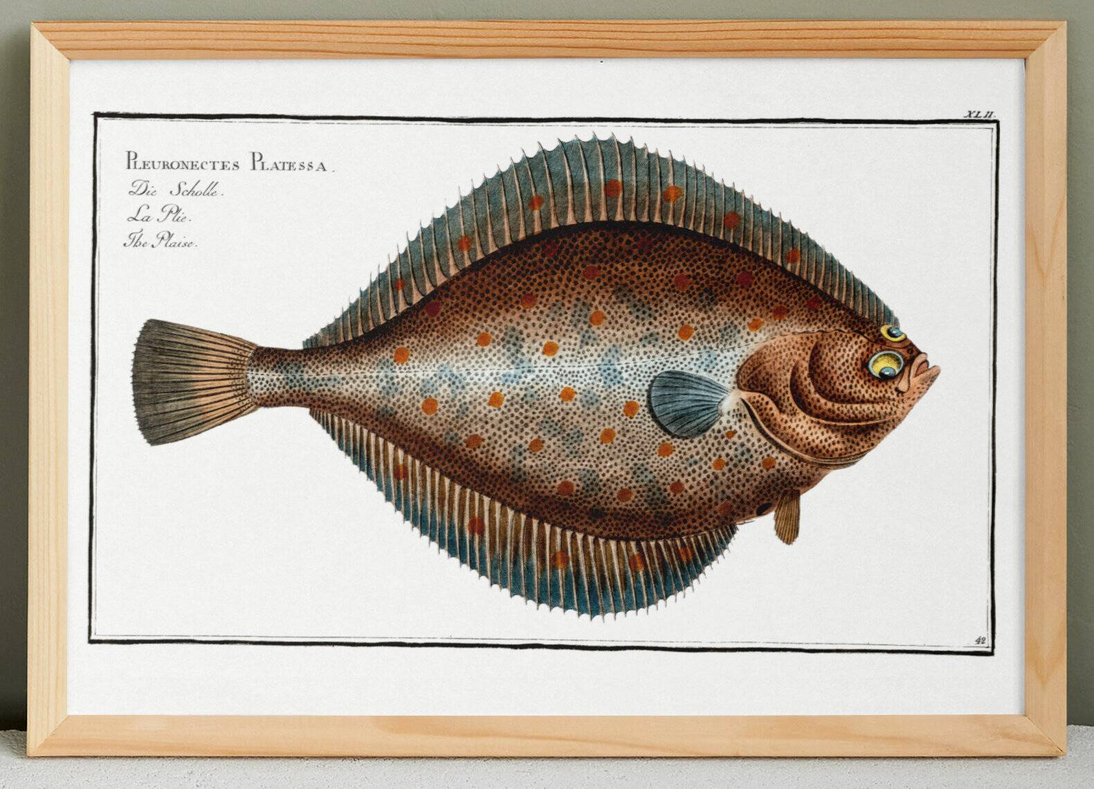 Poster on the fold, after an old engraving from 1746