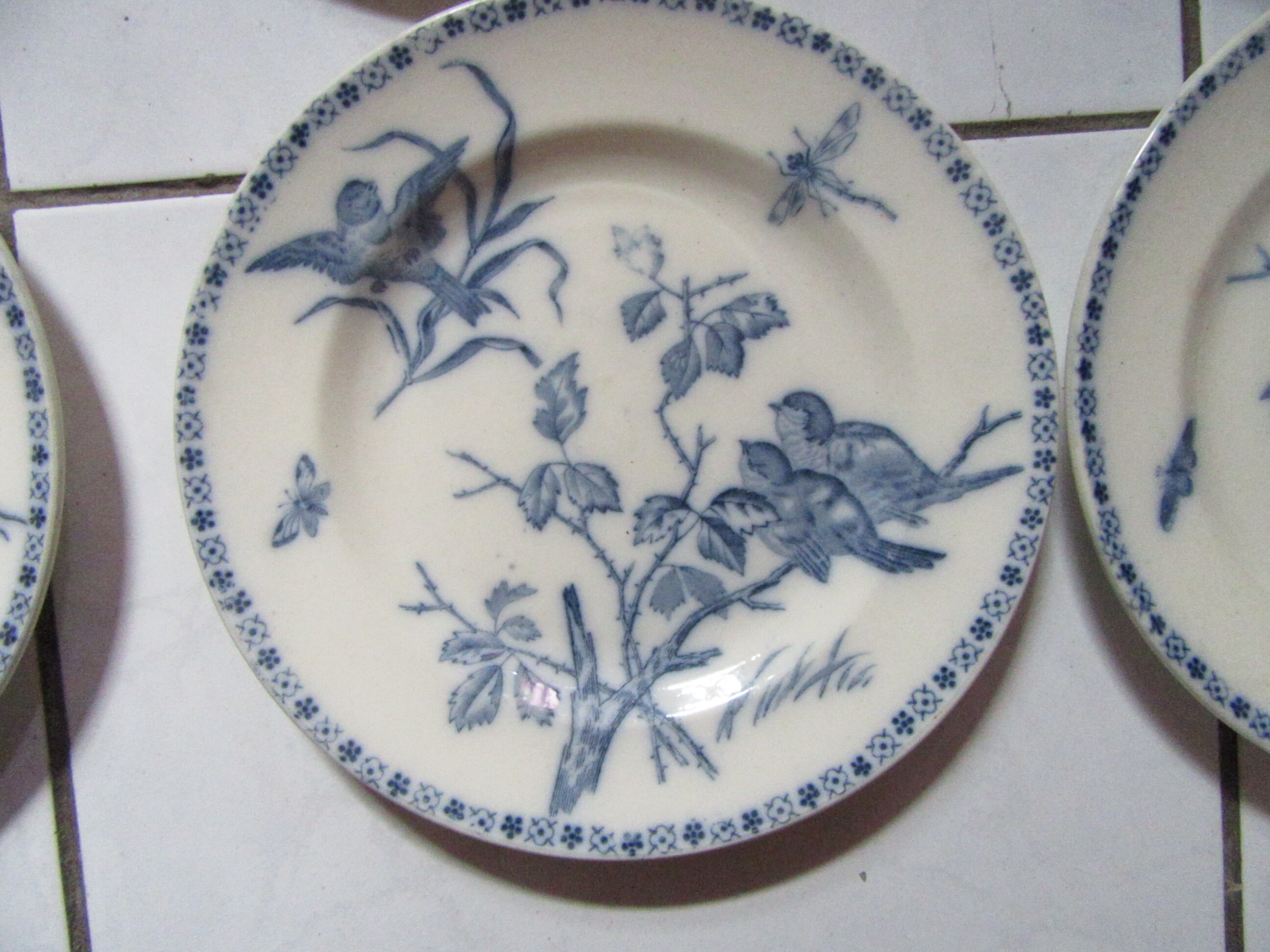 Plates earth fire batch of 6 birds vintage decorations
