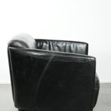 Amazing and unique cowhide aviator design bench, 2-seater