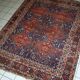 Tapis antique fait main Khamseh persan 156cm x 194cm (1900s)