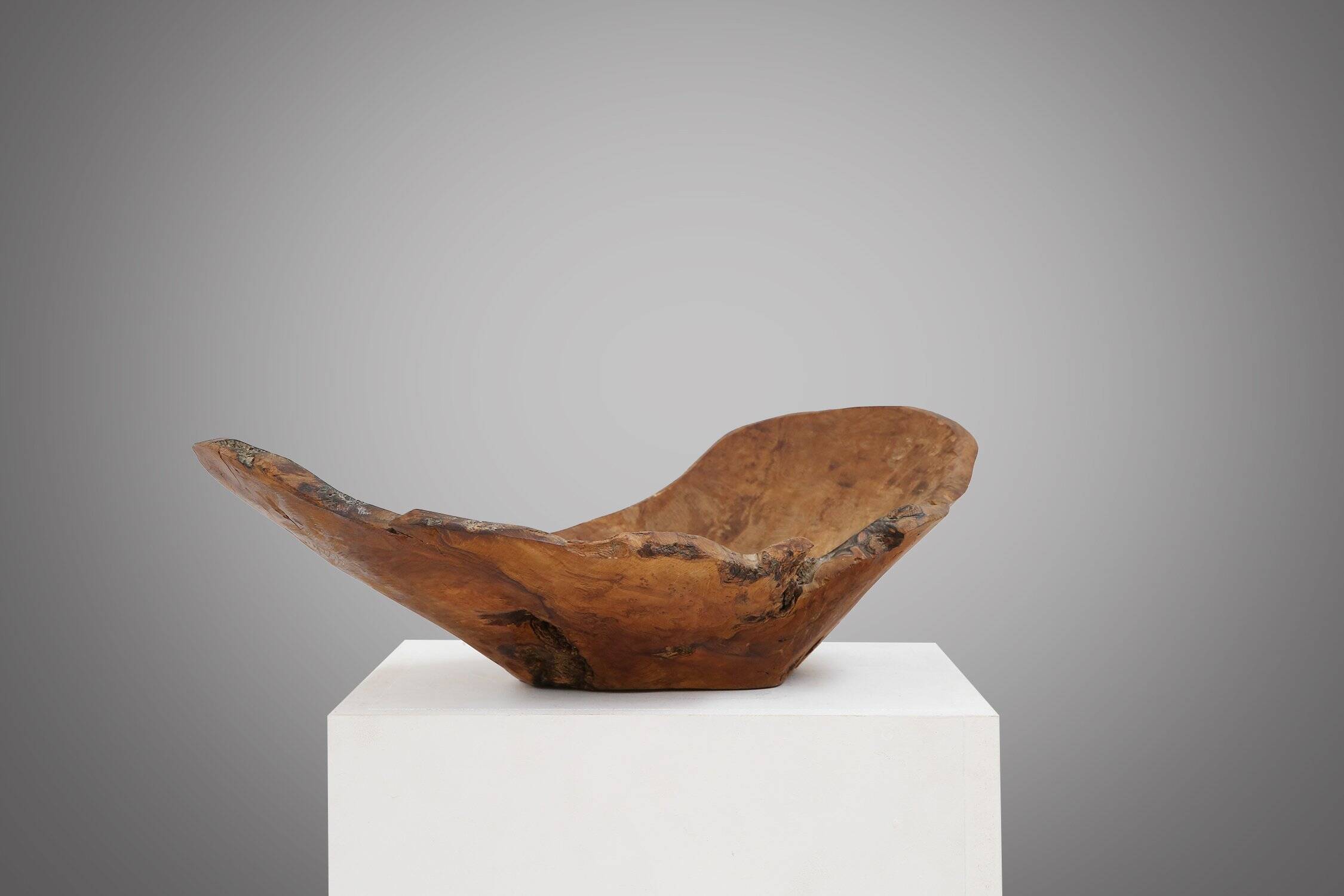 Grand bol en bois de racine organique, France, années 1950