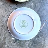 Pair of Villeroy & Boch hollow plates in glazed earthenware model Geranium