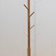 Designer coat rack