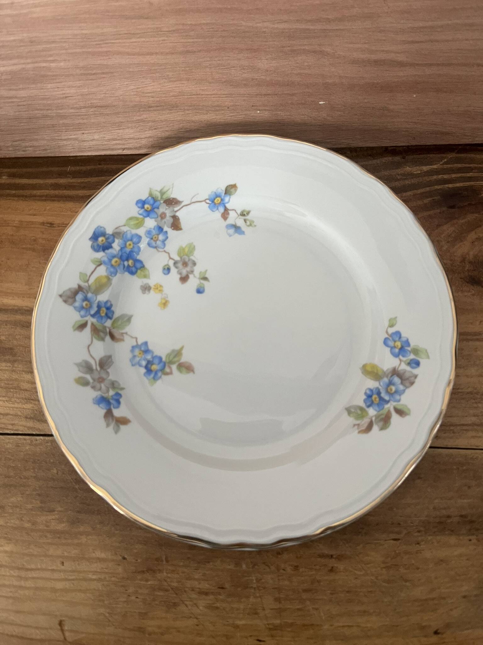 Royal Tognana Dessert Plate Set – Italian Floral Porcelain