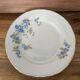 Royal Tognana Dessert Plate Set – Italian Floral Porcelain