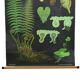 Large Vintage School Map The Fern Jung Koch Quentell 117cm