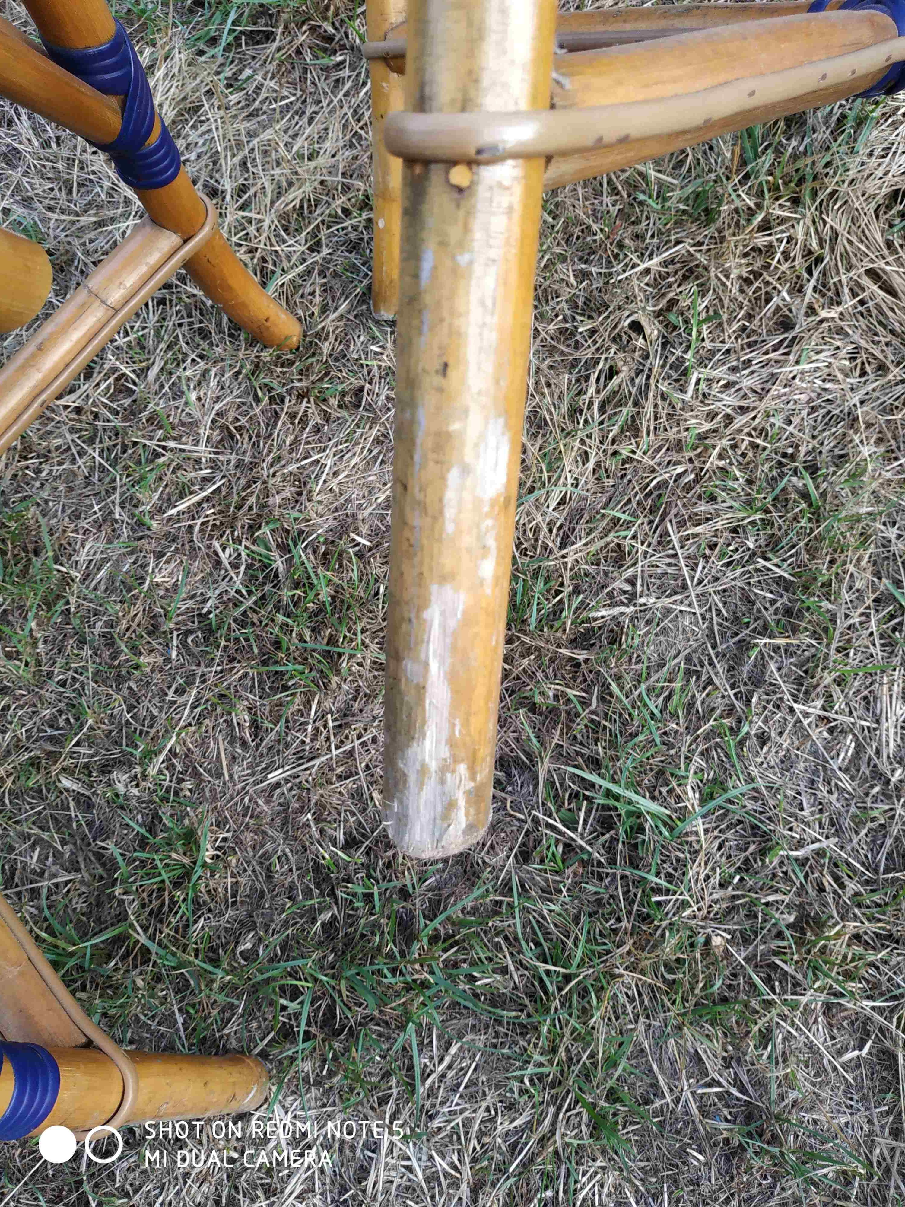 Series of 6 rattan chairs "parisian" vintage terrace