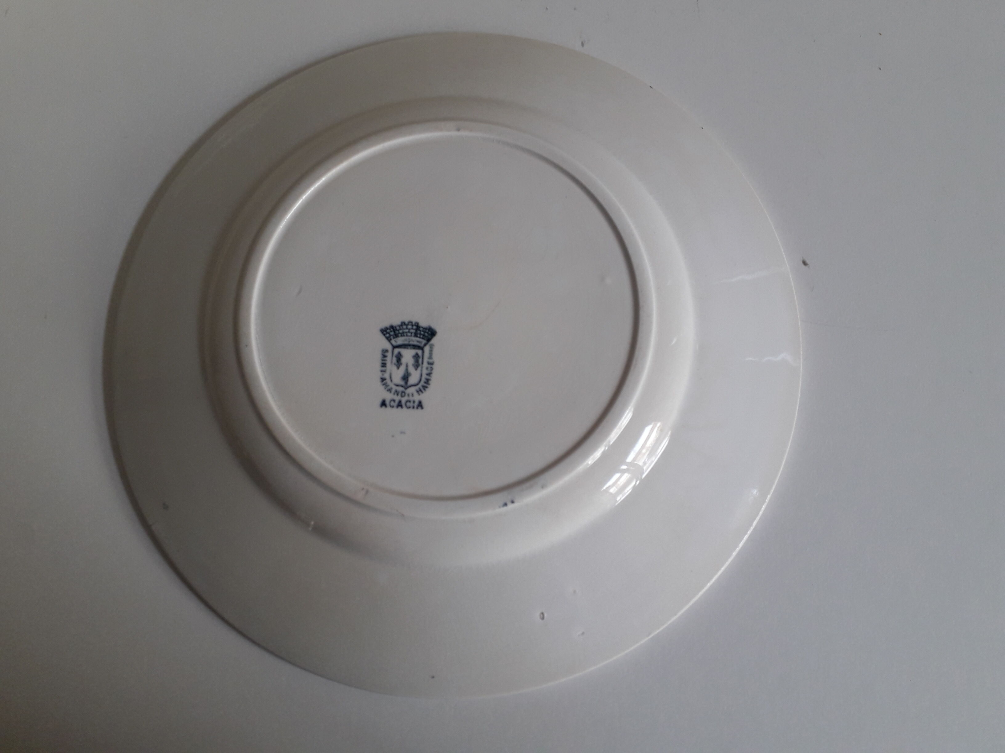 Lot de 4 assiettes plates modèle Acacia faïence de Saint-Amand