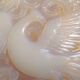 Dish opalescent Bird of paradise signed D'Avesn