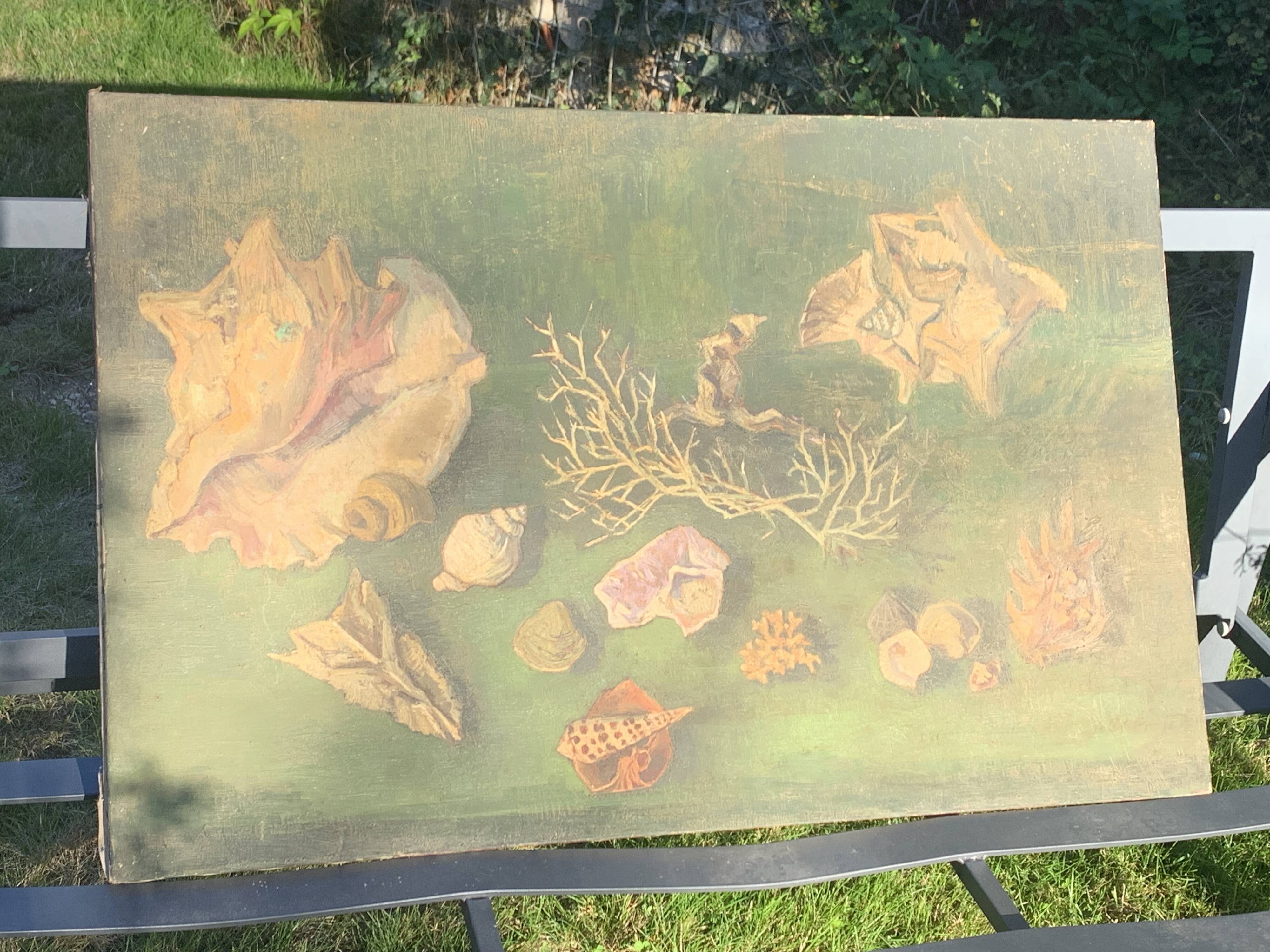 Large painting of shells, cabinet of curiosities, sign, vintage