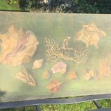 Large painting of shells, cabinet of curiosities, sign, vintage