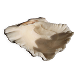 Empty pocket shell