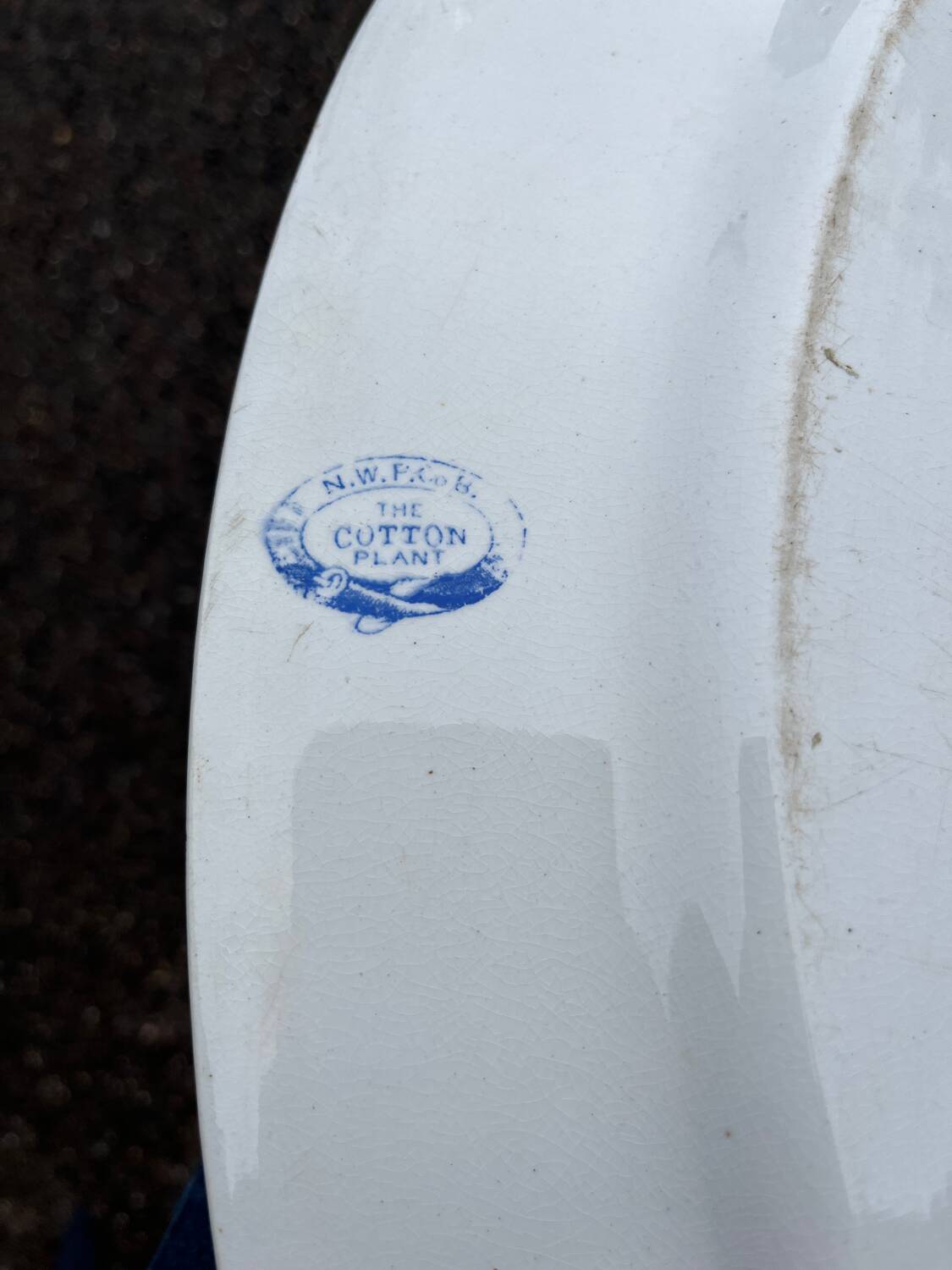 Large 19th century serving dish in English ironstone earthenware NWPCo Burslem "The Cotton Plant"