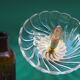 Glass wall light