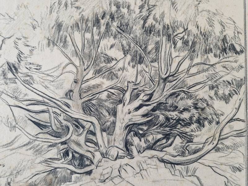 Louis John Endres (1896-1989) - Charcoal drawing on paper - Genevrier Toutliat, Grand Atlas Maroc