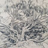 Louis John Endres (1896-1989) - Charcoal drawing on paper - Genevrier Toutliat, Grand Atlas Maroc