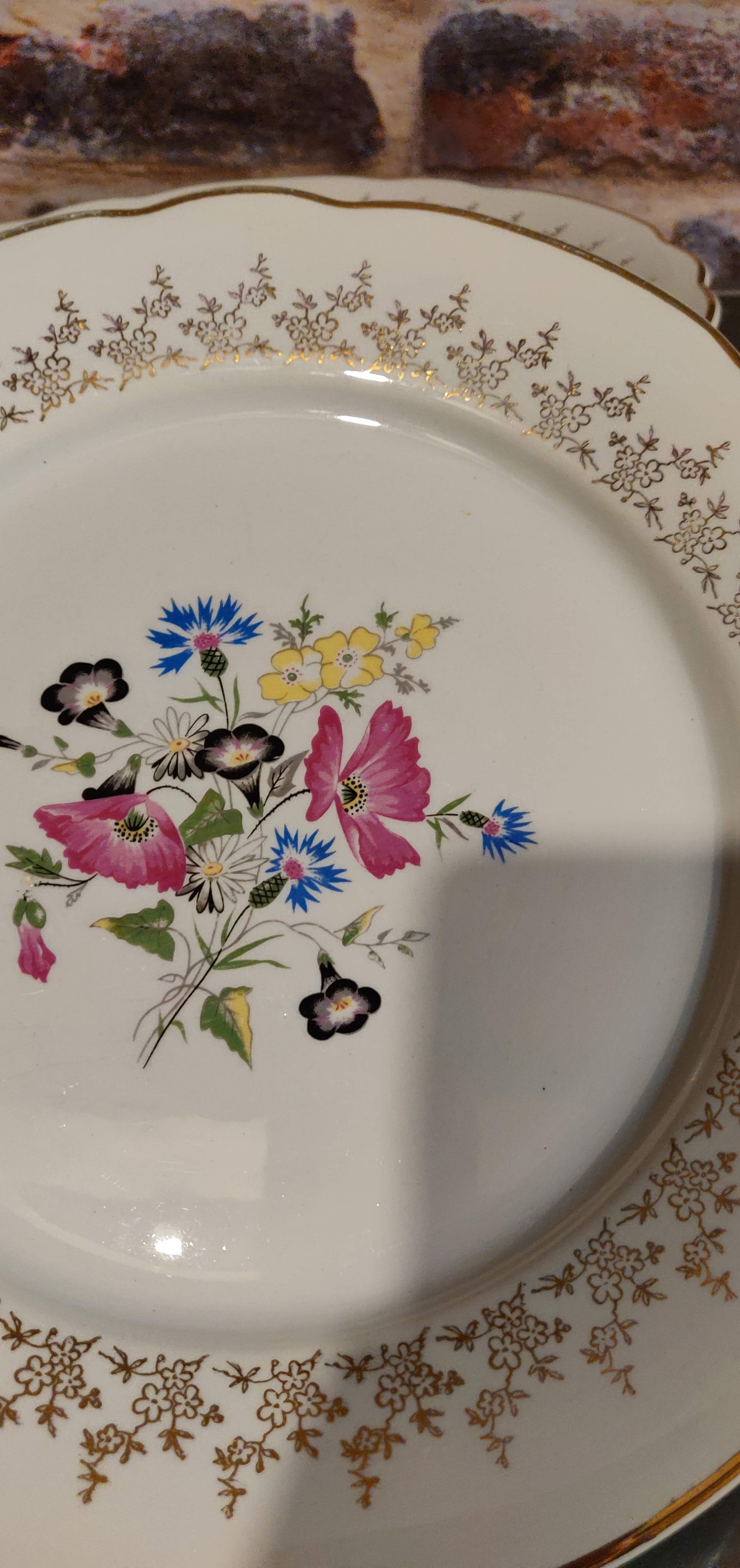 12 assiettes plates Digoin et Sarguemines Pampelune