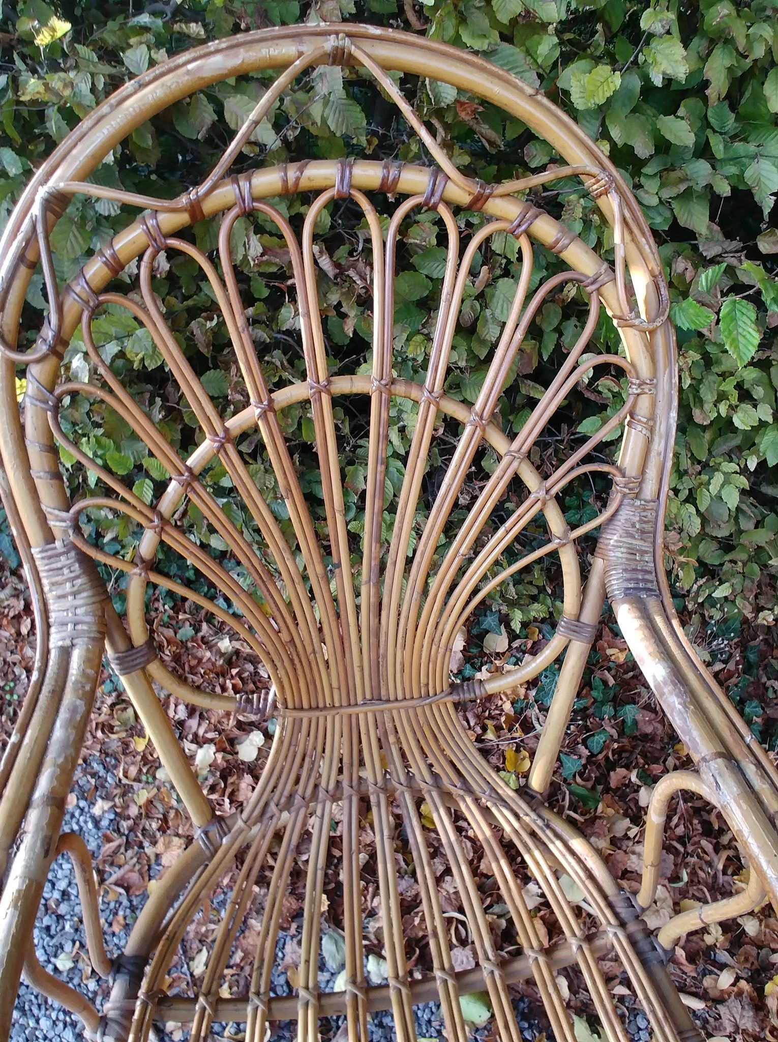 Pair of rattan chairs - 1970