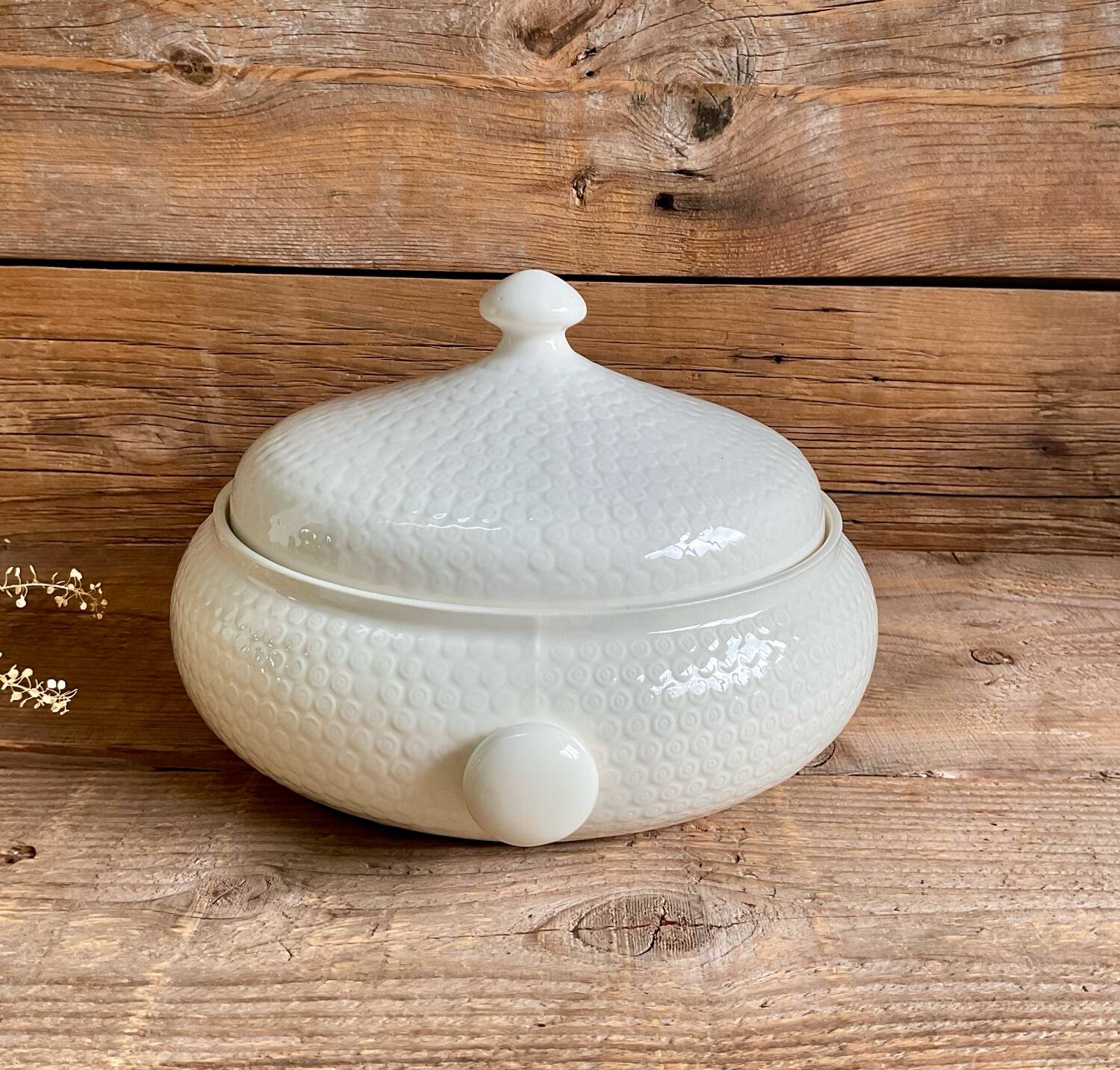 Soup tureen Gien France