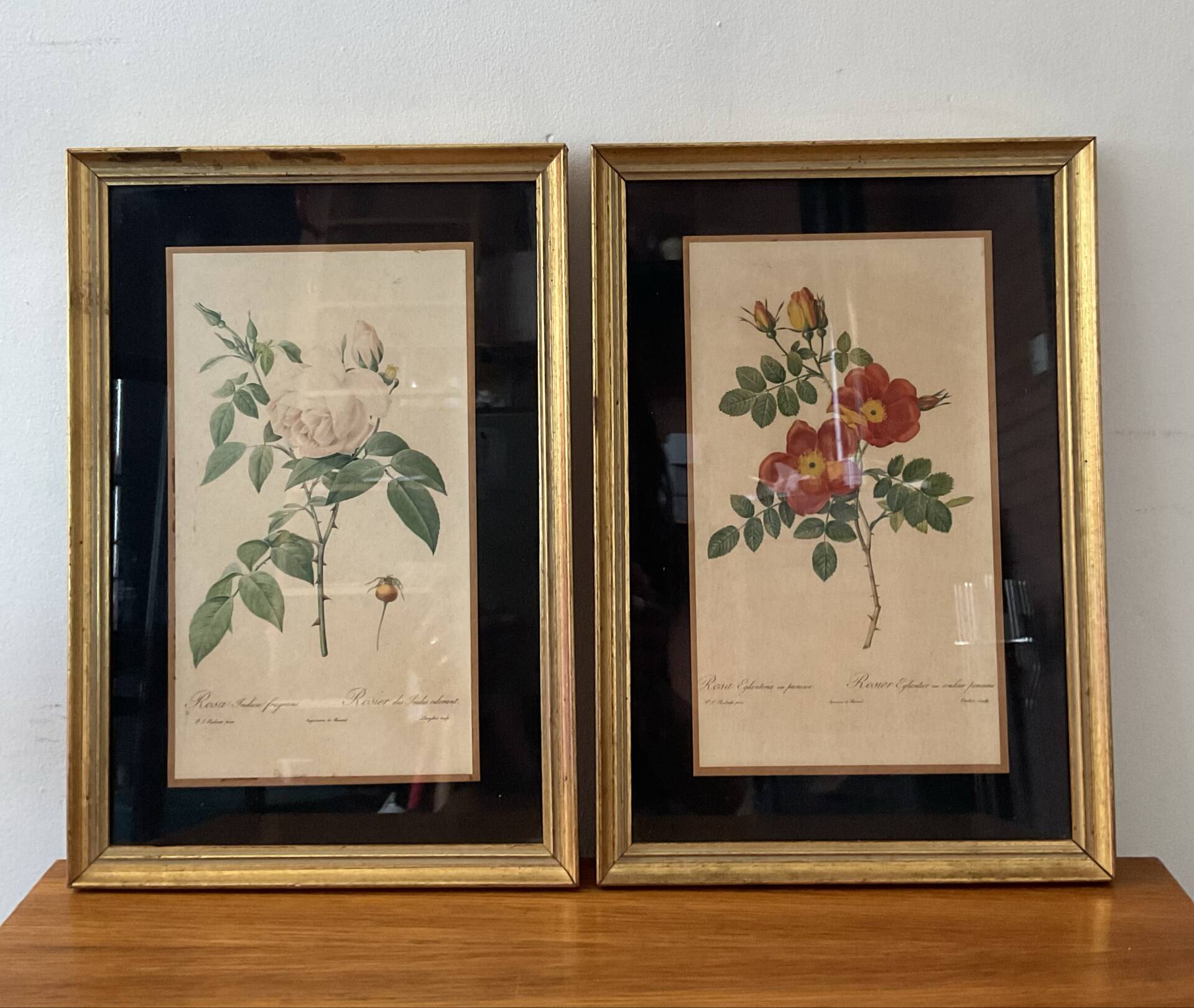 Pair of vintage botanical frames in gilded wood
