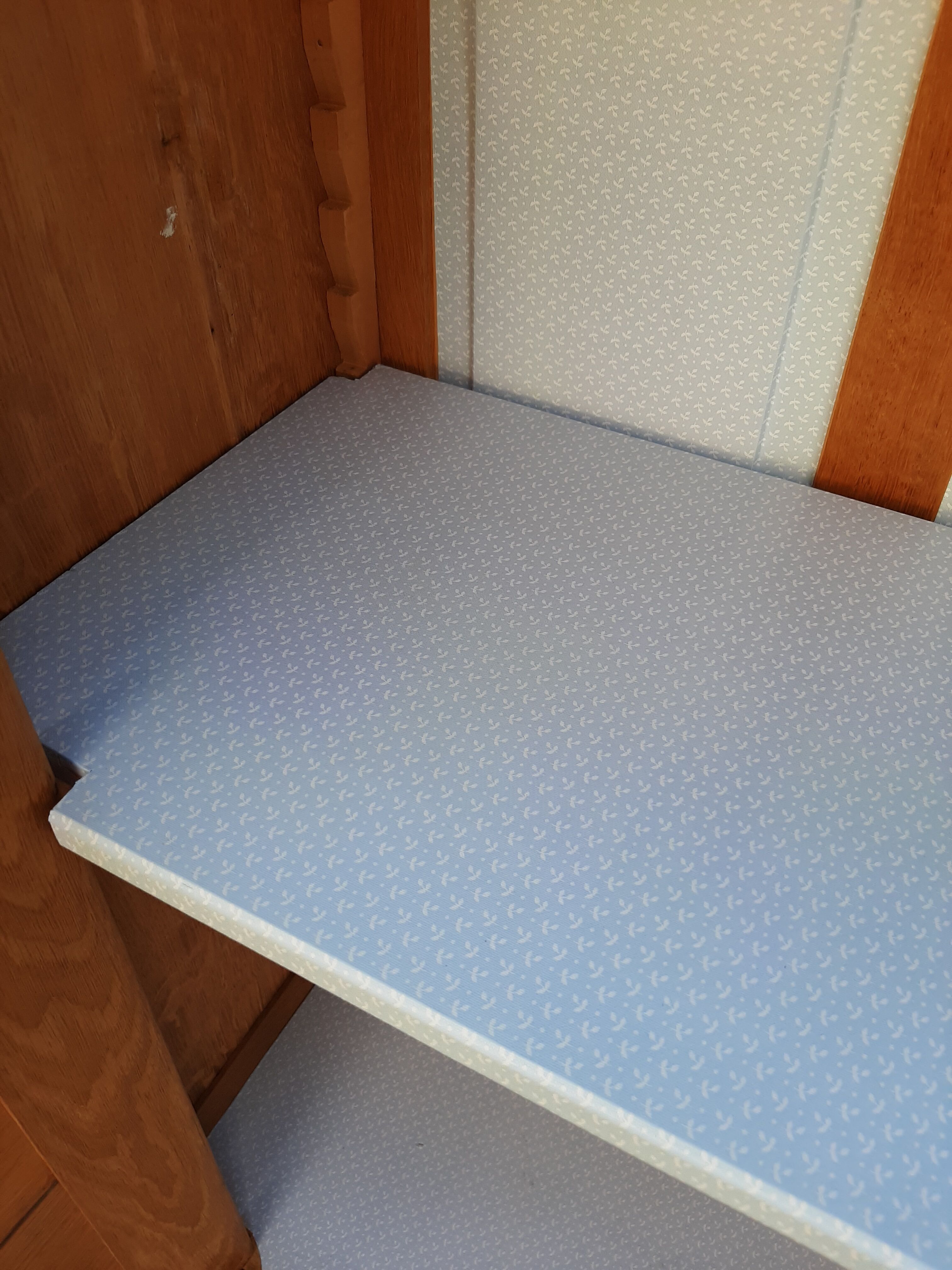 Ancient parisian oak library