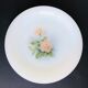 5 plates in arcopal