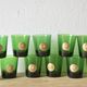 Lot of 11 vintage Byrrh/Dubonnet advertising glasses - Lion de Thuir