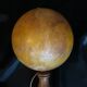 Boxwood bilboquet "ball of 17.0 cm in diameter" - 50s