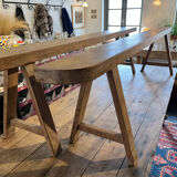 Pair of bench 19 th