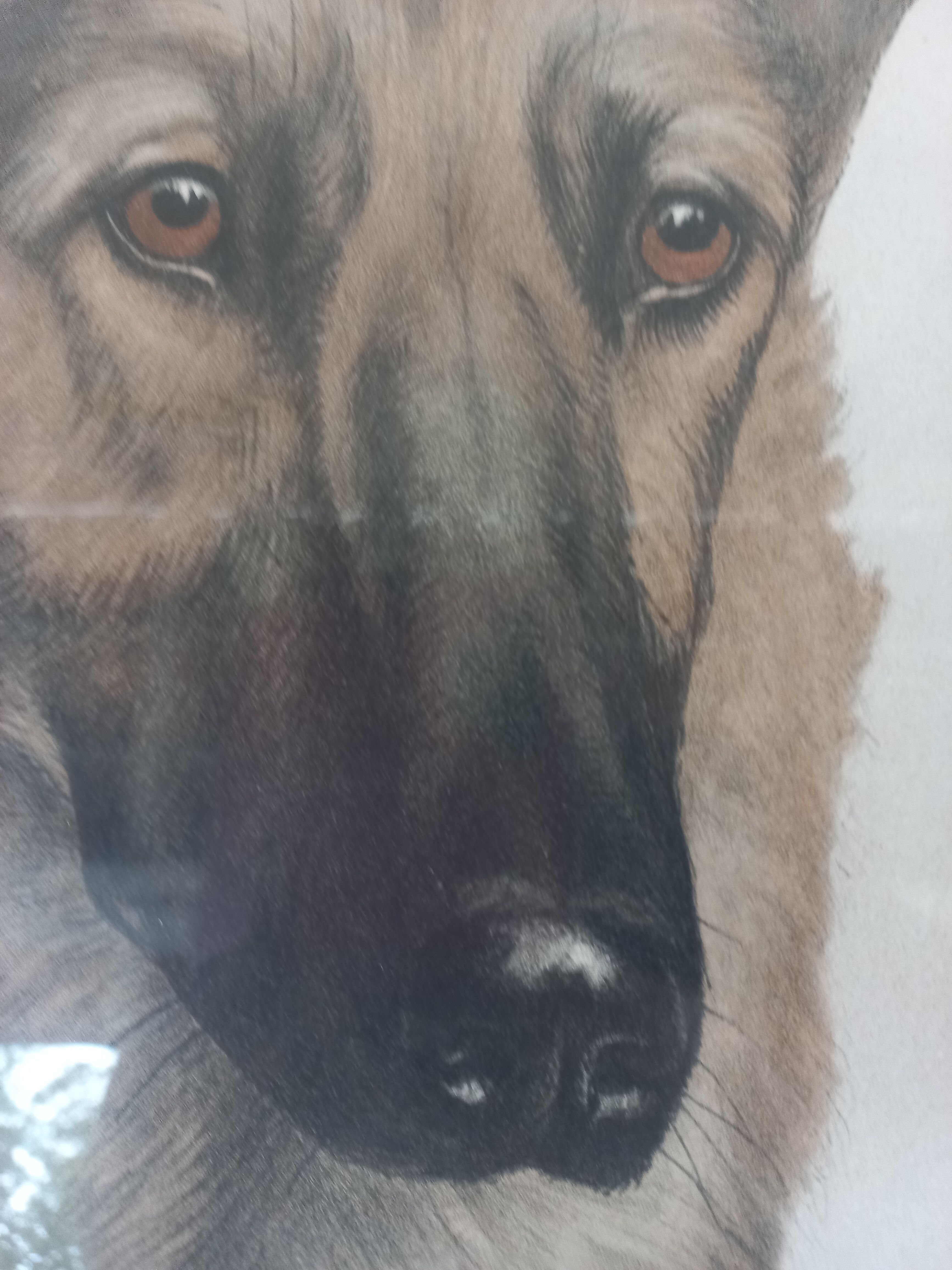 Léon DANCHIN (1887-1938) : GERMAN SHEPHERD Numbered and Signed Lithograph