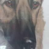 Léon DANCHIN (1887-1938) : GERMAN SHEPHERD Numbered and Signed Lithograph