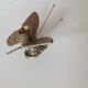 Brass butterfly candlestick