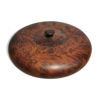 Beautiful Old Box, round, in Elm Magnifying Glass or Thuya
