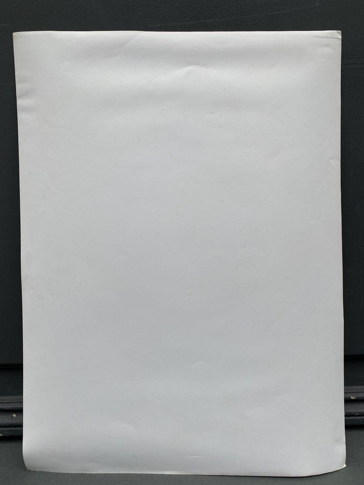 Film photography Bernard Darot Parterre of ferns 20th century