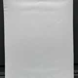 Film photography Bernard Darot Parterre of ferns 20th century