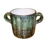 Potted Robert Picault Vallauris