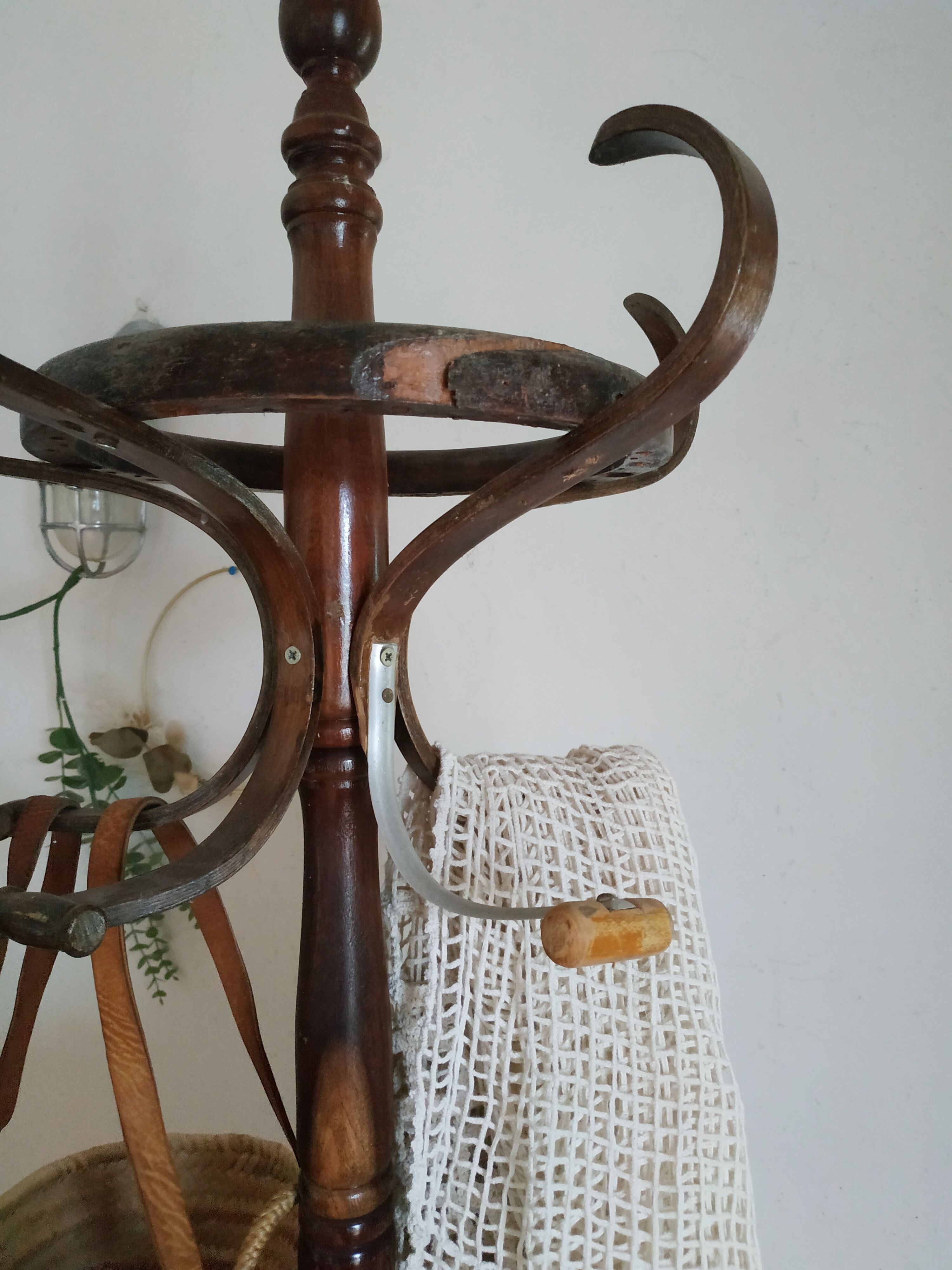 Old wooden parrot coat holder
