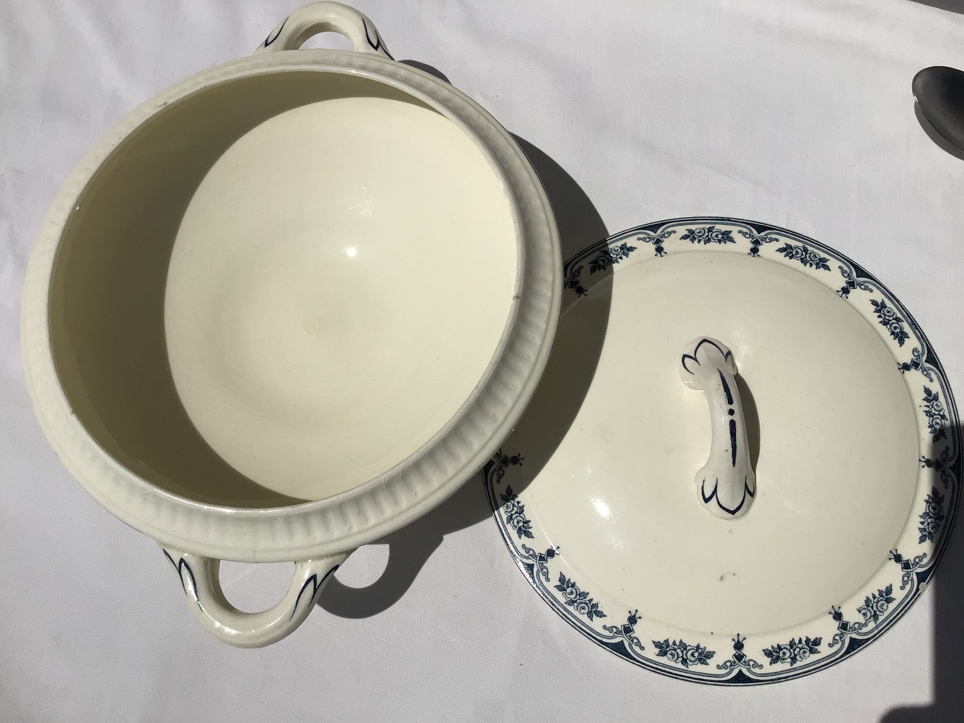 Soup or vegetable Iron Earth Salins Sathonay navy blue